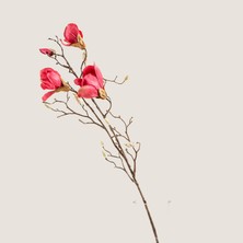 Chakra Artificial Magnolia Stem  Bloom 87 cm Natural