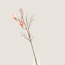 Chakra Artificial Magnolia Stem  Blush 87 cm Natural