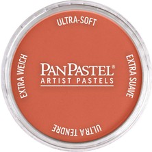 Panpastel Ultra Soft Artist Pastel Boya Copper 29315