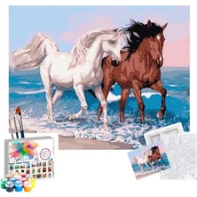 Magic Art Sayılarla Boyama Tuval 40X50 cm Atlar