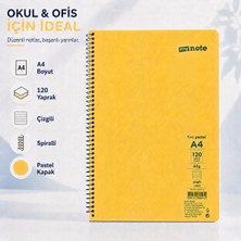 Mynote Flex Pastel A4 120 Yaprak 60 gr Spiralli Çizgili Defter