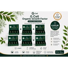 Gcell Organic Growth Factor Saç Güçlendirici Serum 6 Kutu (24 x 30 Ml) | 180 Günlük Kullanım | 13 Bitkisel Içerik