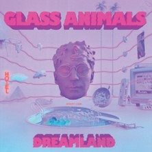 B Side Club Glass Animals - Dreamland: Real Life Edition -Coloured Vinyl