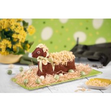 Tart Kalıbı