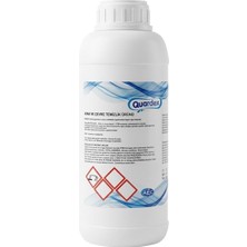 Renas Store Bestway Intex Havuzlarla Uyumlu Quardex 1kg Ayak Dezenfektanı