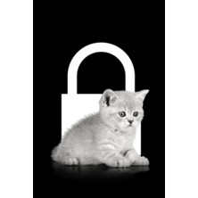 Renas Store Mini Quaderno Password Tascabile Con Gatto: Rubrica Password A6 (10X15 Cm) E Alfabetica, Piccola Idea Regalo Utile E Originale Per Uomo O Donna