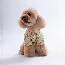 Pawstar Florelle Desenli Gömlek