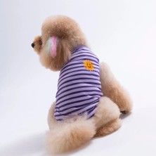 Pawstar Smile Embroline Tişört