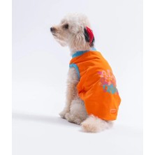 Pawstar Turuncu All Gooddays Tişört