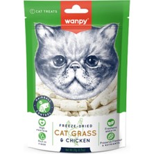 Renas Store Wanpy Kedi Dondurulmuş Kedi Çimi ve Tavuklu Ödül 20G