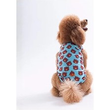 Pawstar Bears Tişört