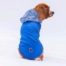 Pawstar Mavi Gingham Kapşonlu Polo Tişört