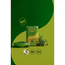 Gaia Oliva Jalapeno-Dağ Kekiği Mix Çeşnili 175 ml Natürel Sızma Zeytinyağı (Yeni Hasat)