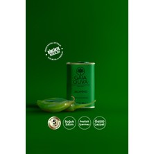 Jalapeno Çeşnili 175 ml Natürel Sızma Zeytinyağı