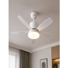 Orden Yaşam Ventus Işıklı Tavan Vantilatörü Pervaneli LED Ampul Ayarlı 30W Kumandalı E27 5 Kanatlı
