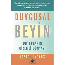 Duygusal Beyin: Duyguların Gizemli Dünyası