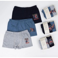 2li Erkek Boxer K128638 (Tek Adet Fiyatıdır)