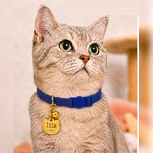 Caramelos Isimli Kedi Tasması Kedi Isimlik Kişiye Özel-Güvenlik Kilitli- Eko Serisi