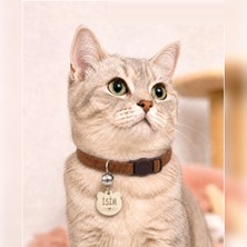Caramelos Isimli Kedi Tasması Kedi Isimlik Kişiye Özel-Güvenlik Kilitli- Eko Serisi Sl