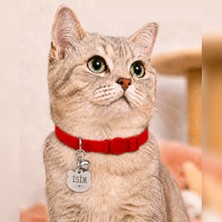 Caramelos Isimli Kedi Tasması Kedi Isimlik Kişiye Özel-Güvenlik Kilitli- Eko Serisi Sl