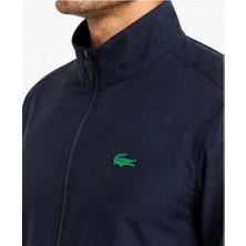 Lacoste Regular  Fit Lacivert Eşofman Takımı