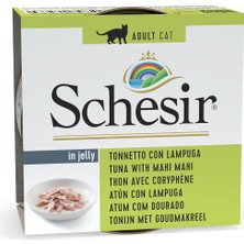Schesir Jelly Ton Balığı ve Mahi Mahi Balığı Jöle Içinde Yetişkin Kedi Konservesi 85G