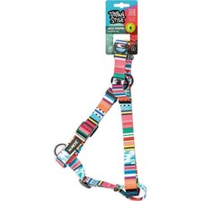 M-Pets Style Jazz Strıpes Göğüs Tasması (L)