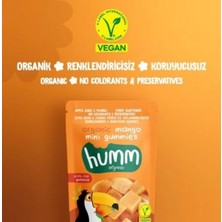 Urfakent Humm Organik Glutensiz Vegan Mangolu Mini Küpler 30 gr