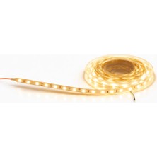 Beruflic 1 Adet 5 Metre Cata Ct 4481 Iç Mekan 10 Çipli Şerit LED 12V 3200K Gün Işığı