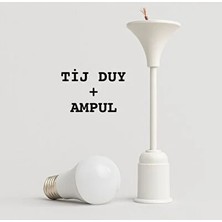 CATEKSSS Tij Duy ve Ampul