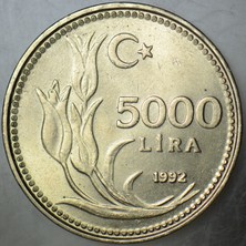 Banknoting 5000 Lira 1992 Çilaltı+