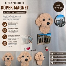 Mood Maker Store Toy Poodle Köpek Magnet Dekoratif Buzdolabı Magneti Sevimli Köpek Figürü 10 × 8 cm