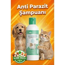 Vitexpert Arındırıcı Kedi ve Köpek Anti Parazit Shield Pire Kene Bit Parazit Hızlı Etkili Doğal Şampuan 200 ml