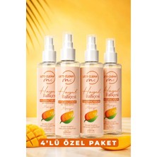 Lets Clean Hayal Bahçesi Oda Kokusu Mango 4'lü Set 4X200ML – Anti Sigara