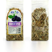 Teda Poşet Böğürtlen Yaprağı 30 Gr. Teda Najmaddin