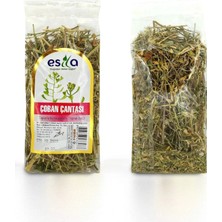 Teda Poşet Defne Yaprağı 30 Gr. Teda Najmaddin