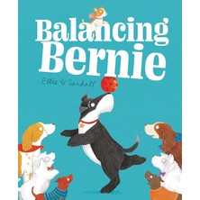 Duca Store Balancing Bernie