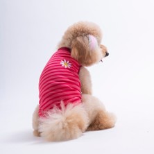 Pawstar Daisy Embroline Tişört Kedi Köpek Tişörtü-Kedi Köpek Kıyafeti