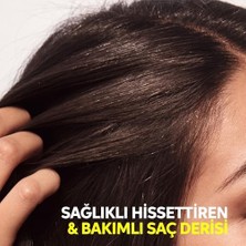 Duca Store Professionals Invigo Scalp Balance Şampuan 300 ml - Kepek Önleyici