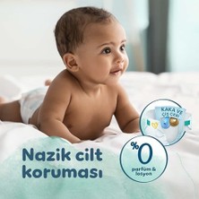 Duca Store Prima Harmonie Bebek Bezi Ikiz Paket 5 Beden 24 Adet
