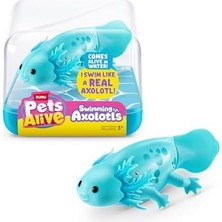 Duca Store Zuru Pets Alive Yüzme Axolotl Serisi -1 Rastgele Renk
