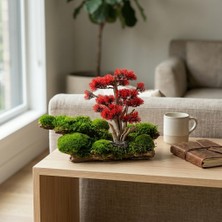 Decoroon El Yapımı Bonsai Masa Dekoru – Gerçek Şoklanmış Yosunlu & Ağaç Kabuklu Japandi Dekoratif Obje, Orta Sehpa & Ofis Dekoru