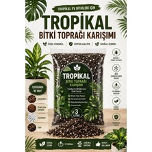 Nexvoria Tropikal Bitki Toprağı Karışımı 3 Litre – Monstera, Antoryum, Alocasia, Kalatya Için Drenajlı Saksı Toprağı