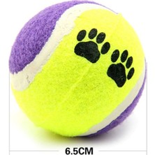 Hereveoyuncak 3lü Renkli Desenli Tenis Topu Keddi Köpek Oyuncağı