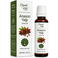 Organik Life Anason Yağı 20 ml | Anason Tohumu Yağı | Bitkisel Sabit Yağ | Cilt ve Saç Bakım Yağı