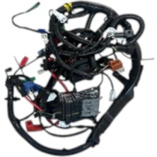 Tvs Raider 125 Elektrik Tesisatı (N6161940)