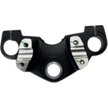 Tvs Raider 125 Üst Platin (N6100940)