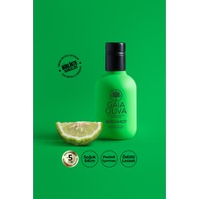 Gaia Oliva Bergamot Çeşnili 250 ml Natürel Sızma Zeytinyağı (Yeni Hasat)
