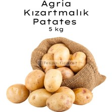Tespa Ticaret Agria Kızartmalık Patates 5 kg | Doğal Yerli Agria Patates | Restoran Kalitesi