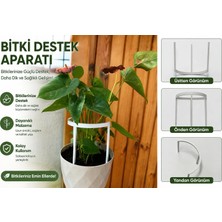 HydroFide  Bitki Destek Halkası – Bitkileriniz İçin Pratik Destek